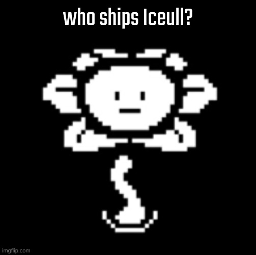 uh.. | who ships Iceull? | image tagged in uh | made w/ Imgflip meme maker