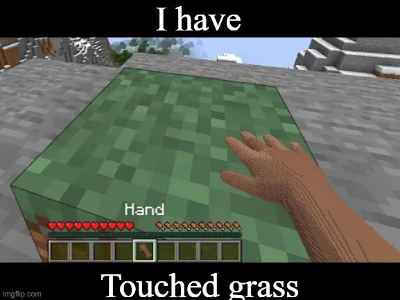 Hand touching Minecraft grass block | I have Touched grass | image tagged in hand touching minecraft grass block | made w/ Imgflip meme maker