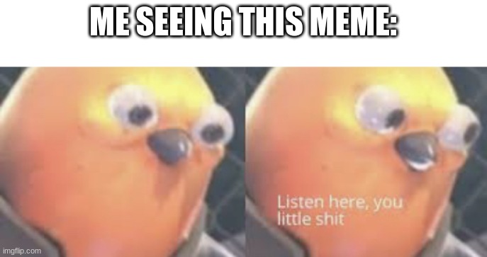 Listen here you little shit bird | ME SEEING THIS MEME: | image tagged in listen here you little shit bird | made w/ Imgflip meme maker