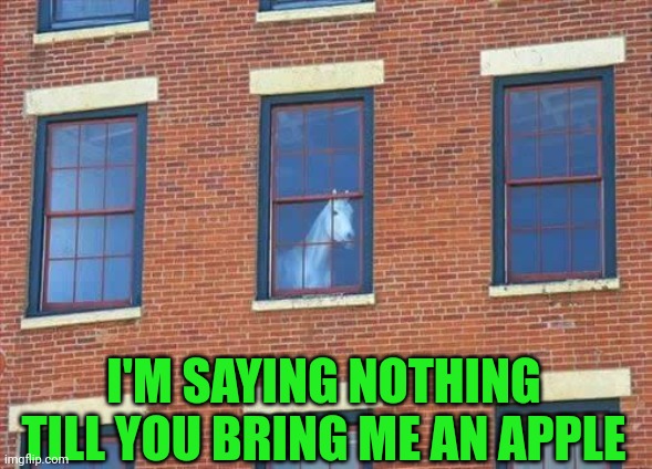 Memes     horse  | I'M SAYING NOTHING TILL YOU BRING ME AN APPLE | image tagged in memes horse | made w/ Imgflip meme maker