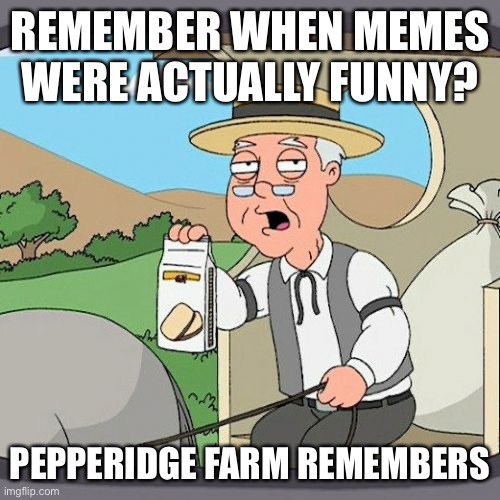 Sorry this is old but I had nothing better to do | REMEMBER WHEN MEMES WERE ACTUALLY FUNNY? PEPPERIDGE FARM REMEMBERS | image tagged in memes,pepperidge farm remembers | made w/ Imgflip meme maker