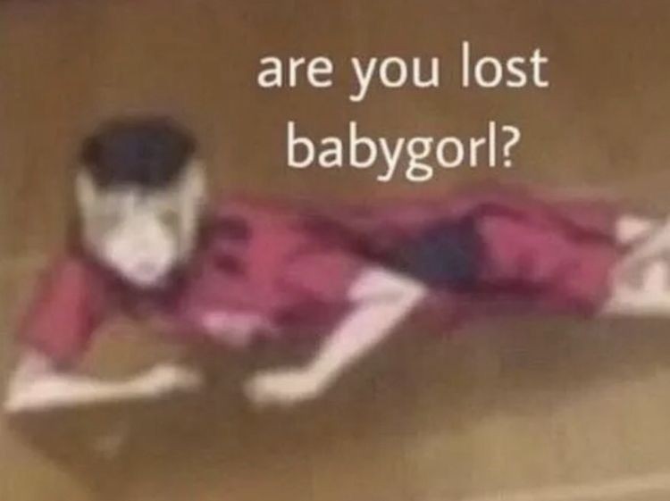 Are u lost babygorl Blank Meme Template