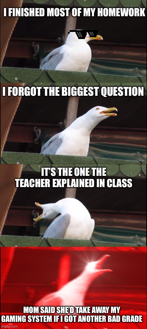 @GoldDragonLord memes .com jk haha | I FINISHED MOST OF MY HOMEWORK; I FORGOT THE BIGGEST QUESTION; IT’S THE ONE THE TEACHER EXPLAINED IN CLASS; MOM SAID SHE’D TAKE AWAY MY GAMING SYSTEM IF I GOT ANOTHER BAD GRADE | image tagged in memes,inhaling seagull | made w/ Imgflip meme maker