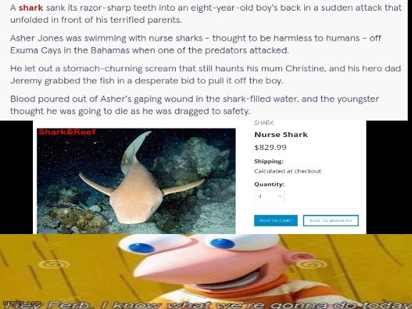 Make an aquarium for a nurse shark and sacrifice people to it. DARKNESS ACHIEVED | image tagged in blank white template,shark,dark humor,hey ferb | made w/ Imgflip meme maker