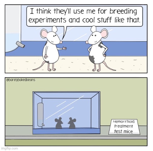 Dreams of a lab mouse | image tagged in comics,mouse,lab,funny,memes | made w/ Imgflip meme maker