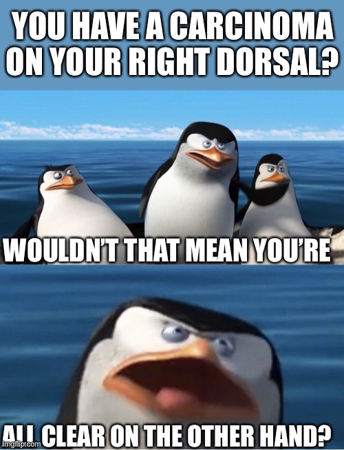 Dorsal= back of hand | YOU HAVE A CARCINOMA ON YOUR RIGHT DORSAL? WOULDN’T THAT MEAN YOU’RE; ALL CLEAR ON THE OTHER HAND? | image tagged in wouldn't that make you,hands,cancer,skin cancer,diagnosis | made w/ Imgflip meme maker
