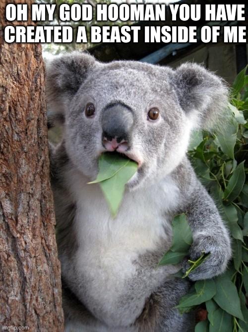 Surprised Koala Meme | OH MY GOD HOOMAN YOU HAVE CREATED A BEAST INSIDE OF ME | image tagged in memes,surprised koala | made w/ Imgflip meme maker