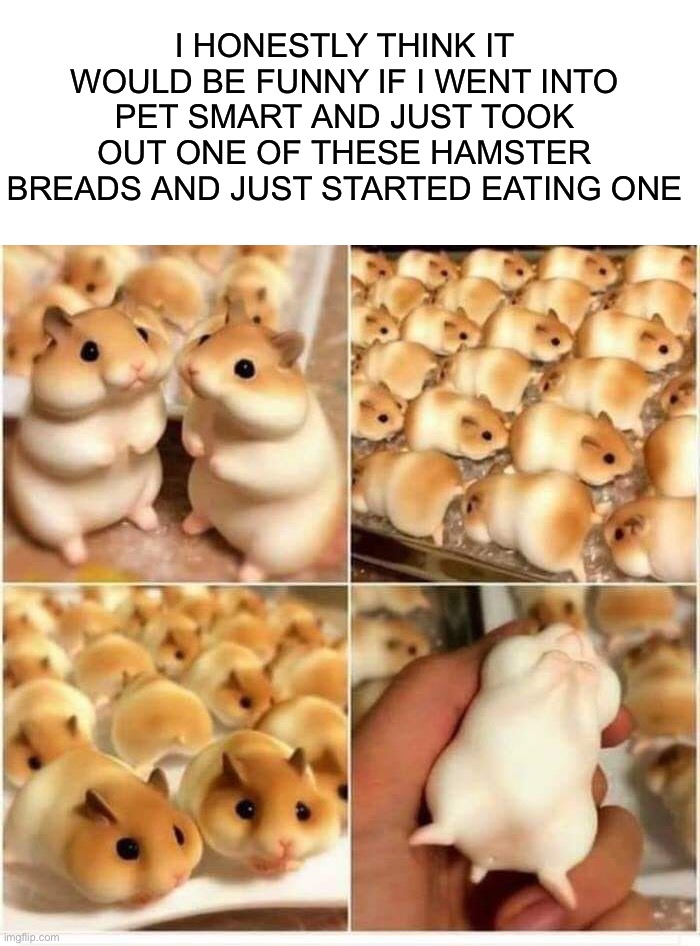Who would or wouldn’t eat this? | I HONESTLY THINK IT WOULD BE FUNNY IF I WENT INTO PET SMART AND JUST TOOK OUT ONE OF THESE HAMSTER BREADS AND JUST STARTED EATING ONE | image tagged in memes,funny,bread,hamster,wait what,food | made w/ Imgflip meme maker