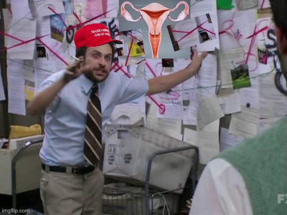 . | image tagged in charlie day,uterus,maga hat,conspiracy,patriarchy,abortion | made w/ Imgflip meme maker