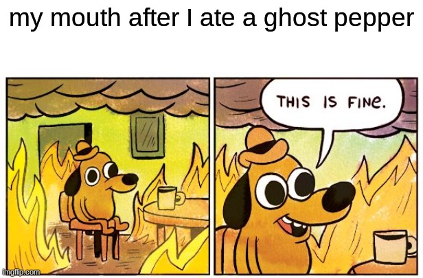 i just a a super hot chili that feels like hell right | my mouth after I ate a ghost pepper | image tagged in memes,this is fine | made w/ Imgflip meme maker