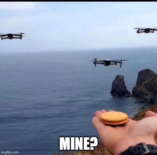 Mine? | MINE? | image tagged in seagulls | made w/ Imgflip meme maker
