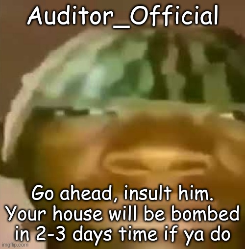 Crap Post 36: Auditor_Official | Auditor_Official; Go ahead, insult him. Your house will be bombed in 2-3 days time if ya do | made w/ Imgflip meme maker