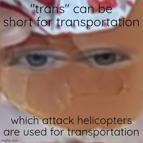 so I'm an attack helicopter | "trans" can be short for transportation; which attack helicopters are used for transportation | image tagged in borger | made w/ Imgflip meme maker