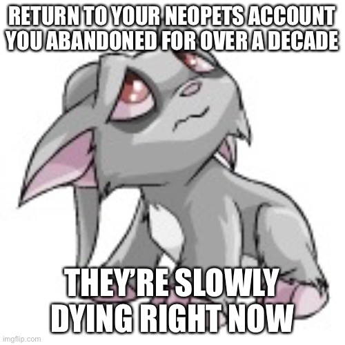 Especially those who have an Acara like this | RETURN TO YOUR NEOPETS ACCOUNT YOU ABANDONED FOR OVER A DECADE; THEY’RE SLOWLY DYING RIGHT NOW | image tagged in sad acara,neopets,grey,acara,nostalgia | made w/ Imgflip meme maker