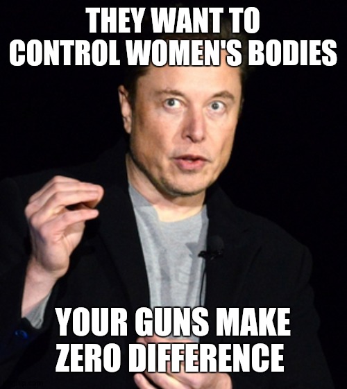 rights are being taken away in the land of the free | THEY WANT TO CONTROL WOMEN'S BODIES; YOUR GUNS MAKE ZERO DIFFERENCE | image tagged in musk | made w/ Imgflip meme maker