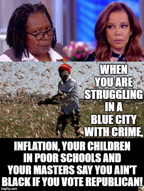 The struggle in a blue city is real!! | WHEN YOU ARE STRUGGLING IN A BLUE CITY WITH CRIME, INFLATION, YOUR CHILDREN IN POOR SCHOOLS AND YOUR MASTERS SAY YOU AIN'T BLACK IF YOU VOTE REPUBLICAN! | image tagged in the struggle is real,the daily struggle | made w/ Imgflip meme maker