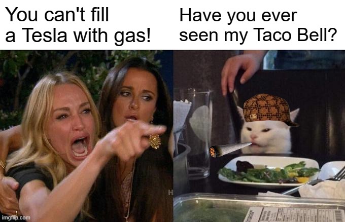 When in doubt go for toilet humor | You can't fill a Tesla with gas! Have you ever seen my Taco Bell? | image tagged in memes,woman yelling at cat,taco bell,tesla,gas | made w/ Imgflip meme maker