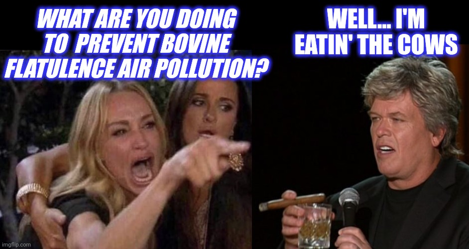 woman yelling at cat | WHAT ARE YOU DOING TO  PREVENT BOVINE FLATULENCE AIR POLLUTION? WELL... I'M EATIN' THE COWS | image tagged in woman yelling at cat | made w/ Imgflip meme maker