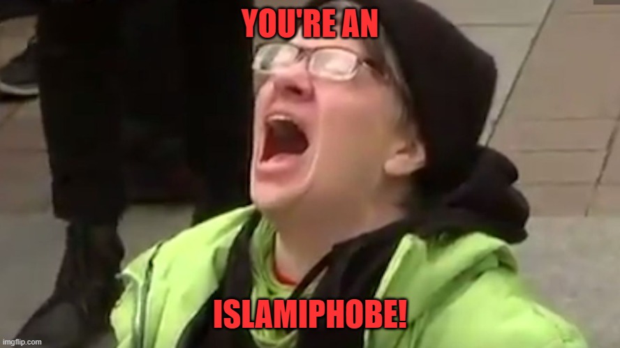 Screaming Liberal  | YOU'RE AN ISLAMIPHOBE! | image tagged in screaming liberal | made w/ Imgflip meme maker