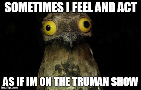 Weird Stuff I Do Potoo Meme | SOMETIMES I FEEL AND ACT AS IF IM ON THE TRUMAN SHOW | image tagged in memes,weird stuff i do potoo,AdviceAnimals | made w/ Imgflip meme maker