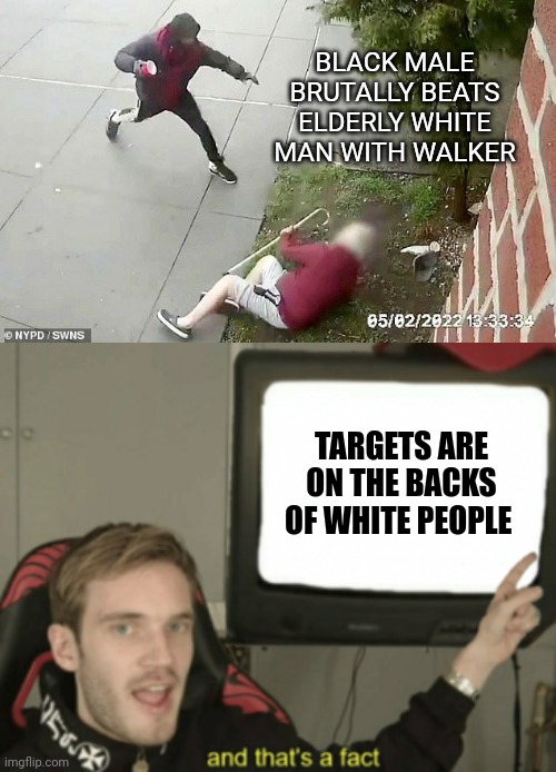 I haven't forgotten Waukesha. | BLACK MALE BRUTALLY BEATS ELDERLY WHITE MAN WITH WALKER; TARGETS ARE ON THE BACKS OF WHITE PEOPLE | image tagged in and that's a fact | made w/ Imgflip meme maker