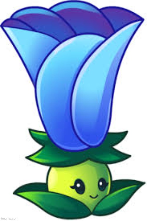 My pvz girlfriend | image tagged in bode | made w/ Imgflip meme maker