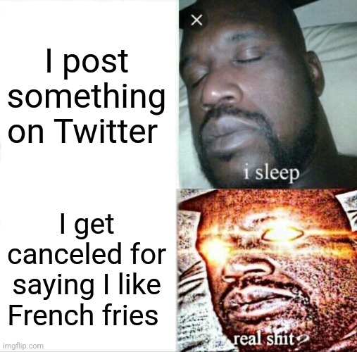 Sleeping Shaq Meme | I post something on Twitter; I get canceled for saying I like French fries | image tagged in memes,sleeping shaq | made w/ Imgflip meme maker