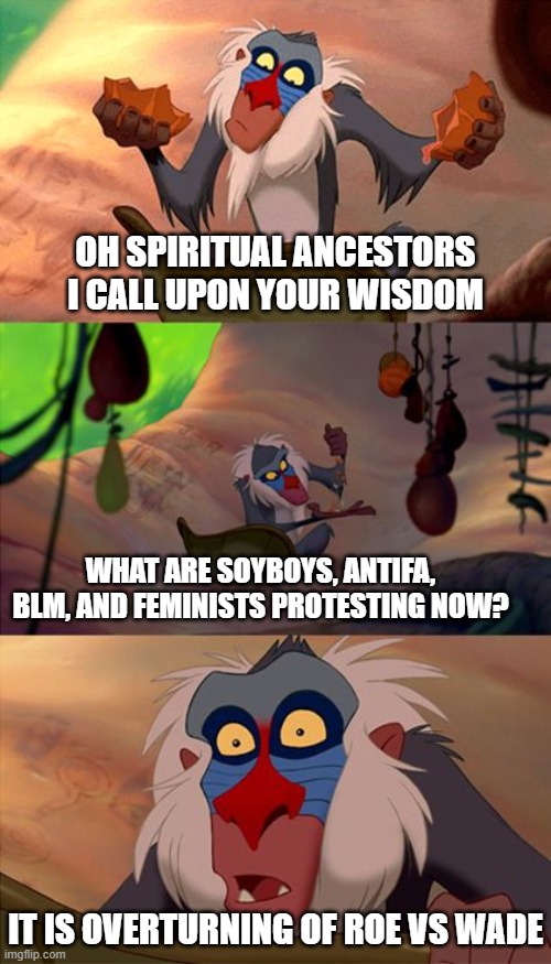 Revelation Rafiki | OH SPIRITUAL ANCESTORS I CALL UPON YOUR WISDOM WHAT ARE SOYBOYS, ANTIFA, BLM, AND FEMINISTS PROTESTING NOW? IT IS OVERTURNING OF ROE VS WADE | image tagged in revelation rafiki | made w/ Imgflip meme maker