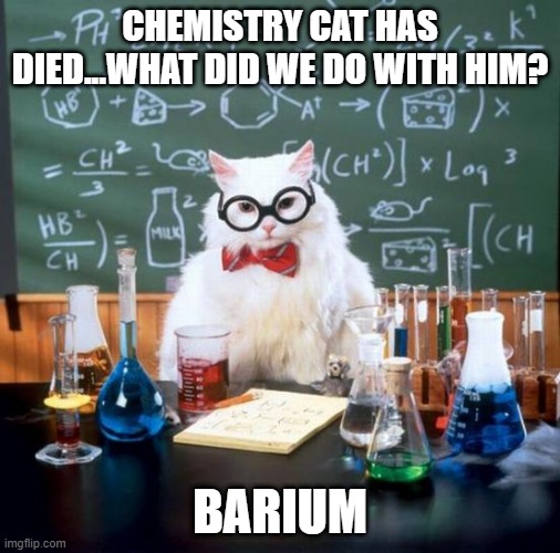 Chemist-ugh | CHEMISTRY CAT HAS DIED...WHAT DID WE DO WITH HIM? BARIUM | image tagged in memes,chemistry cat | made w/ Imgflip meme maker