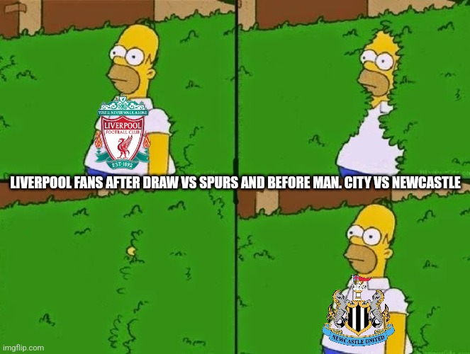 Liverpool 1 vs Spurs 1 before City v Newcastle match | LIVERPOOL FANS AFTER DRAW VS SPURS AND BEFORE MAN. CITY VS NEWCASTLE | image tagged in homer bush,liverpool,tottenham,manchester city,newcastle,premier league | made w/ Imgflip meme maker