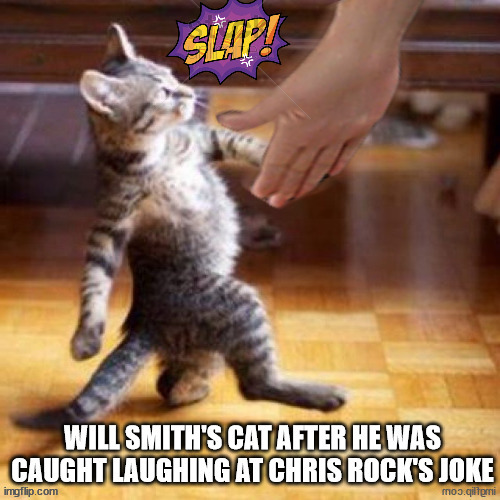 WILL SMITH'S CAT | image tagged in humor | made w/ Imgflip meme maker