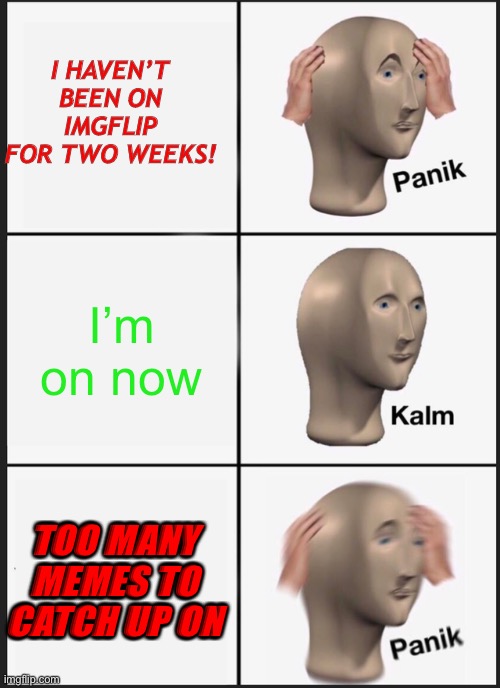 What have I done… | I HAVEN’T BEEN ON IMGFLIP FOR TWO WEEKS! I’m on now; TOO MANY MEMES TO CATCH UP ON | image tagged in memes,sad but true | made w/ Imgflip meme maker