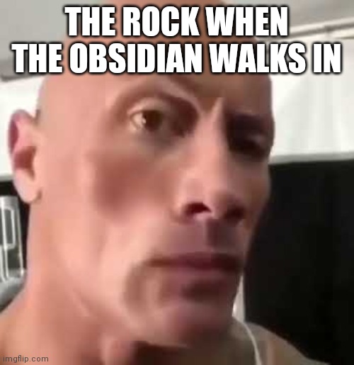 The Rock Eyebrows | THE ROCK WHEN THE OBSIDIAN WALKS IN | image tagged in the rock eyebrows | made w/ Imgflip meme maker