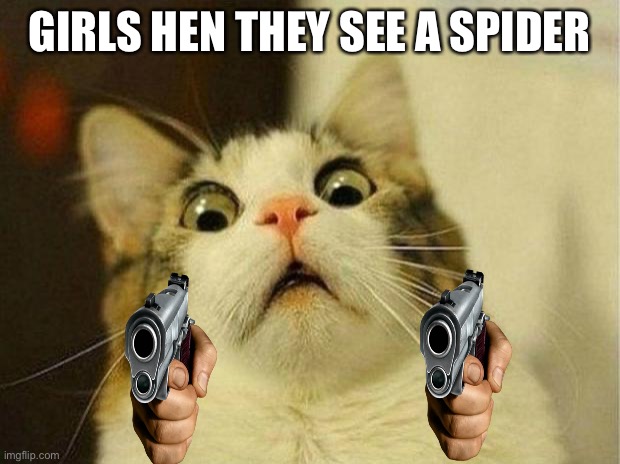 <:0 oh nooooo | GIRLS HEN THEY SEE A SPIDER | image tagged in memes,scared cat | made w/ Imgflip meme maker