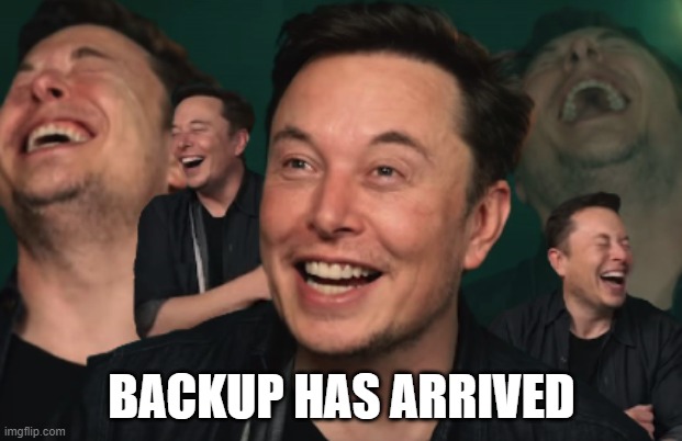 BACKUP HAS ARRIVED | image tagged in elon musk laughing | made w/ Imgflip meme maker