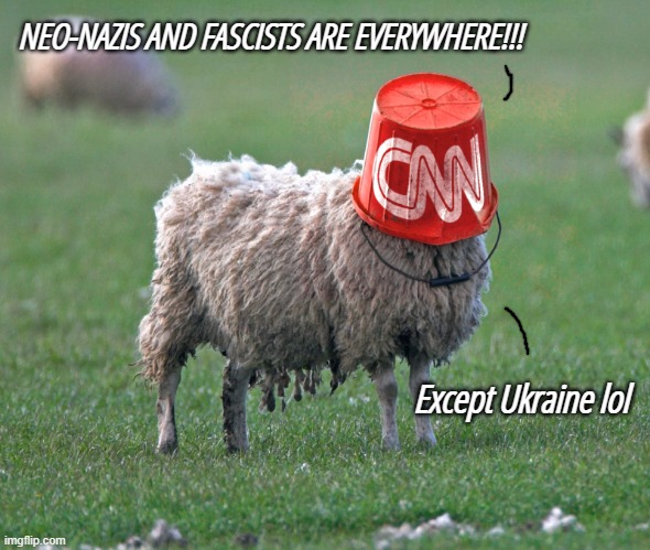 Azov? Never heard of them... | NEO-NAZIS AND FASCISTS ARE EVERYWHERE!!! Except Ukraine lol | image tagged in cnn bucket sheep,ukraine,russia,neo-nazis | made w/ Imgflip meme maker
