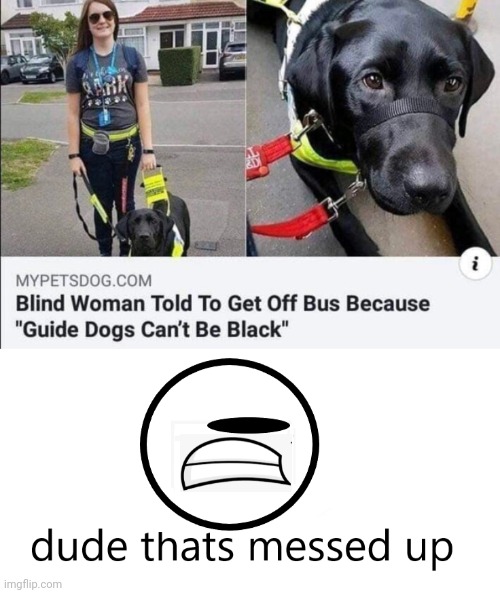 Truly unfair | image tagged in dude thats messed up,dogs,dog,memes,meme,news | made w/ Imgflip meme maker