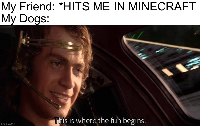 This is where the fun begins | My Friend: *HITS ME IN MINECRAFT
My Dogs: | image tagged in this is where the fun begins | made w/ Imgflip meme maker