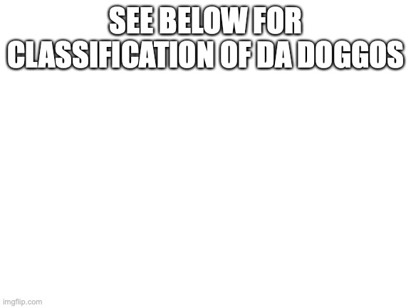 doggo classification | SEE BELOW FOR CLASSIFICATION OF DA DOGGOS | image tagged in blank white template | made w/ Imgflip meme maker