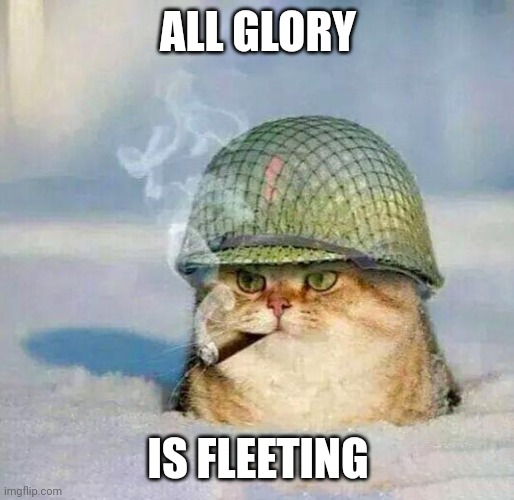 War Cat | ALL GLORY; IS FLEETING | image tagged in war cat | made w/ Imgflip meme maker