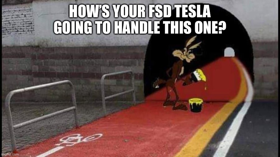 Road runner fake tunnel | HOW’S YOUR FSD TESLA GOING TO HANDLE THIS ONE? | image tagged in road runner fake tunnel | made w/ Imgflip meme maker