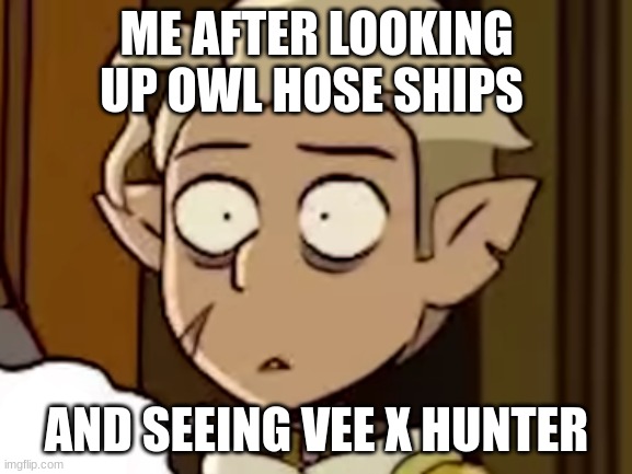why must you hurt me this way | ME AFTER LOOKING UP OWL HOSE SHIPS; AND SEEING VEE X HUNTER | image tagged in hunter has seen things horrid things | made w/ Imgflip meme maker
