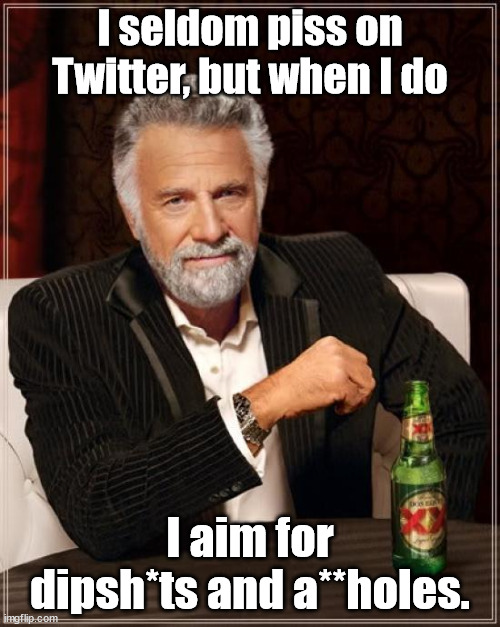 I seldom piss on Twitter, but when I do... | I seldom piss on Twitter, but when I do; I aim for dipsh*ts and a**holes. | image tagged in memes,the most interesting man in the world | made w/ Imgflip meme maker