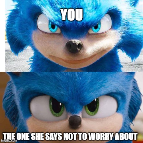 admit it | YOU; THE ONE SHE SAYS NOT TO WORRY ABOUT | image tagged in sonic the hedgehog,memes | made w/ Imgflip meme maker