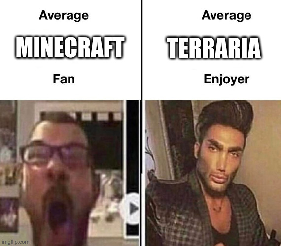 average fan vs average enjoyer | TERRARIA; MINECRAFT | image tagged in average fan vs average enjoyer | made w/ Imgflip meme maker