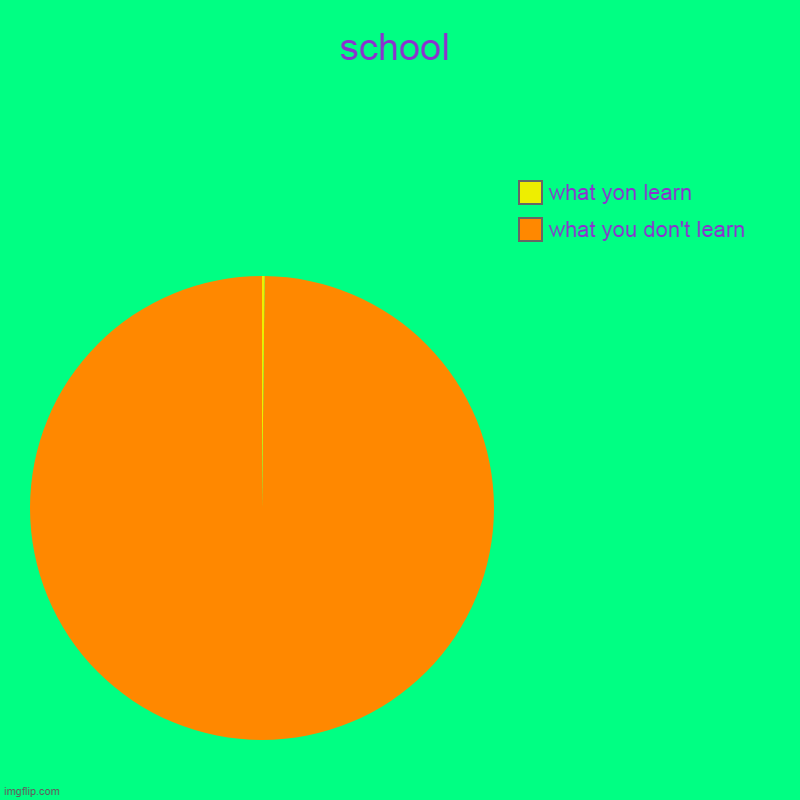 school | what you don't learn, what yon learn | image tagged in charts,pie charts | made w/ Imgflip chart maker