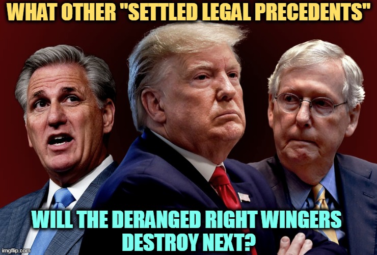 "Law? What law? We don't need no steenkin' law!" | WHAT OTHER "SETTLED LEGAL PRECEDENTS"; WILL THE DERANGED RIGHT WINGERS 
DESTROY NEXT? | image tagged in mccarthy trump mcconnell evil bad for america,right wing,republicans,destroy,laws | made w/ Imgflip meme maker