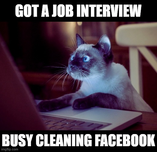 JOB INTERVIEW |  GOT A JOB INTERVIEW; BUSY CLEANING FACEBOOK | image tagged in cat on computer | made w/ Imgflip meme maker