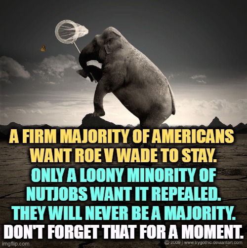 Take Roe v Wade away, you will be punished. | A FIRM MAJORITY OF AMERICANS 
WANT ROE V WADE TO STAY. ONLY A LOONY MINORITY OF NUTJOBS WANT IT REPEALED. THEY WILL NEVER BE A MAJORITY. DON'T FORGET THAT FOR A MOMENT. | image tagged in republican elephant crazy chasing butterflies,abortion,americans,supreme court,minorities | made w/ Imgflip meme maker
