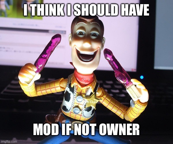 me note: begging for mod | I THINK I SHOULD HAVE; MOD IF NOT OWNER | image tagged in toy story,woody | made w/ Imgflip meme maker
